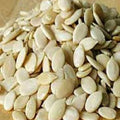Kharbooz Seed