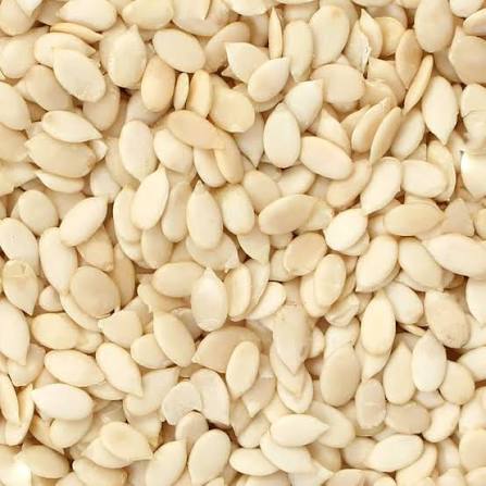 Tarbooz Seeds magaz